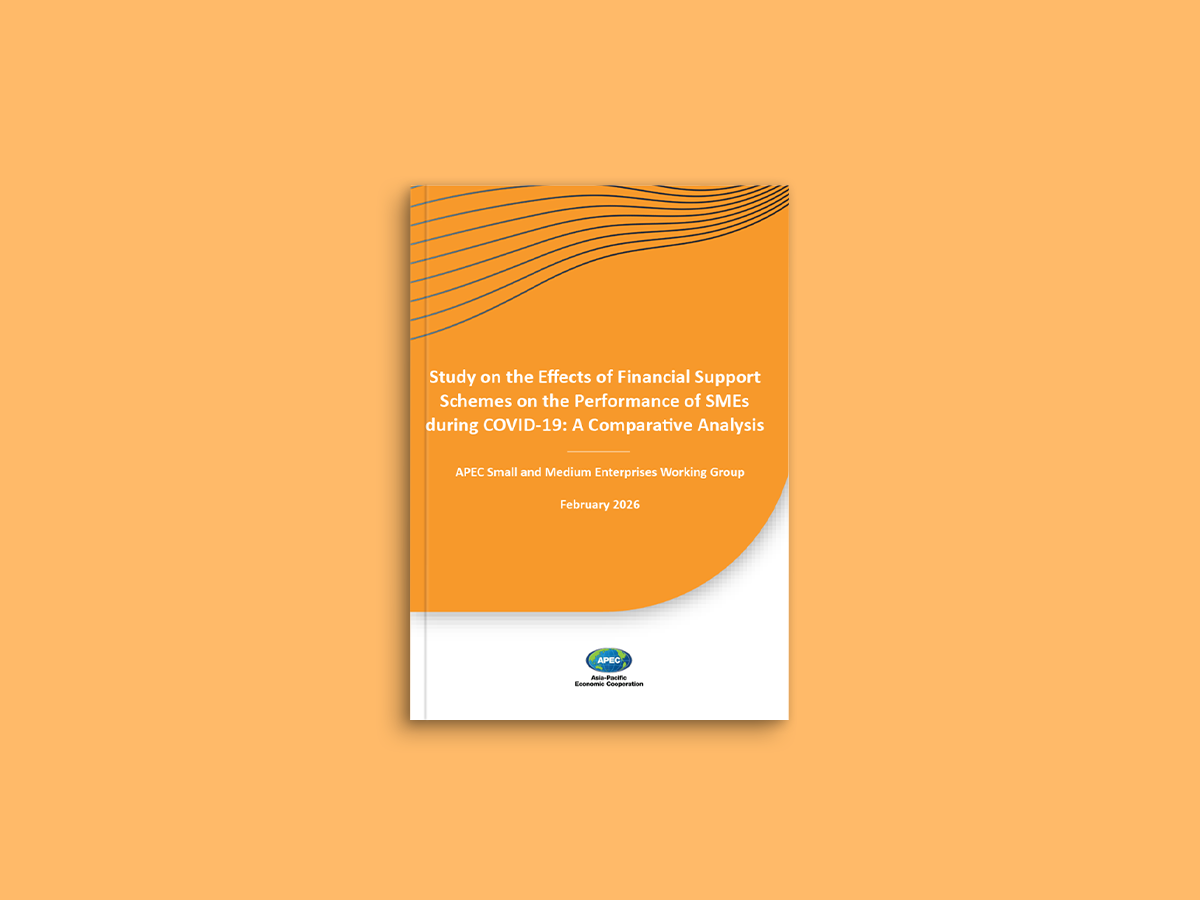 Study on the Effects of Financial Support Schemes on the Performance of SMEs during COVID-19: A Comparative Analysis